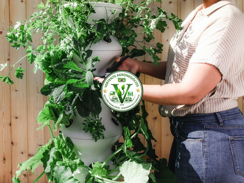 Landscaping and gardening