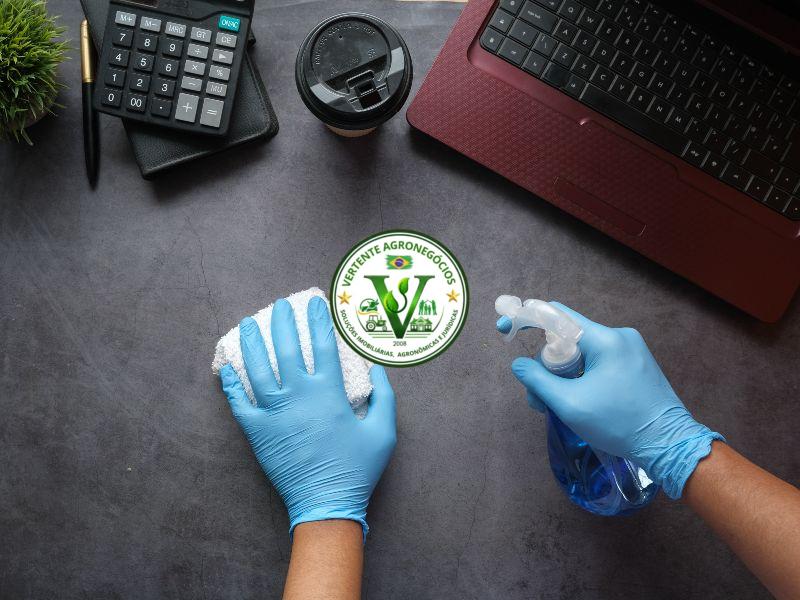 House cleaning services