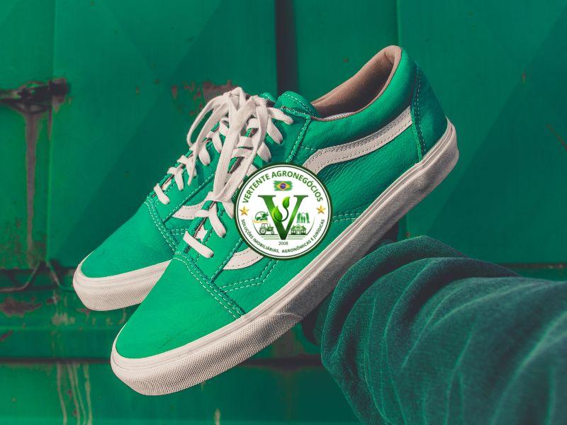 Vans Old Skool shoes