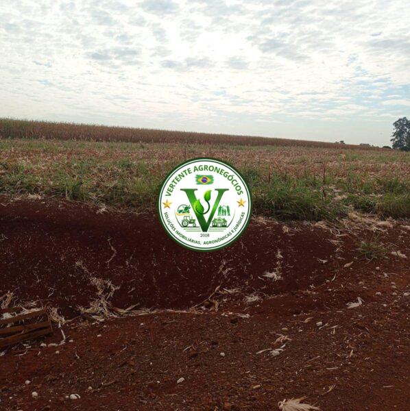 FAZENDA A VENDA