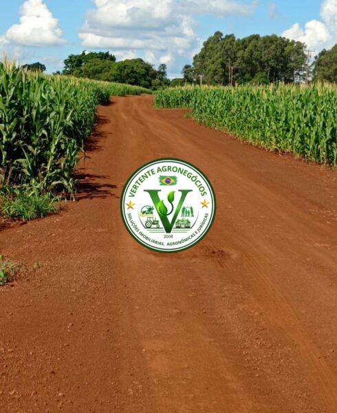 FAZENDA A VENDA