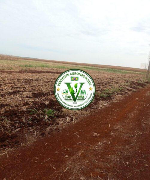 FAZENDA A VENDA