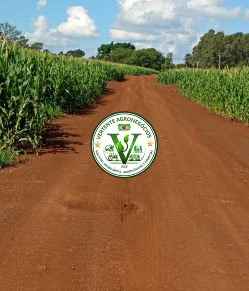 FAZENDA A VENDA