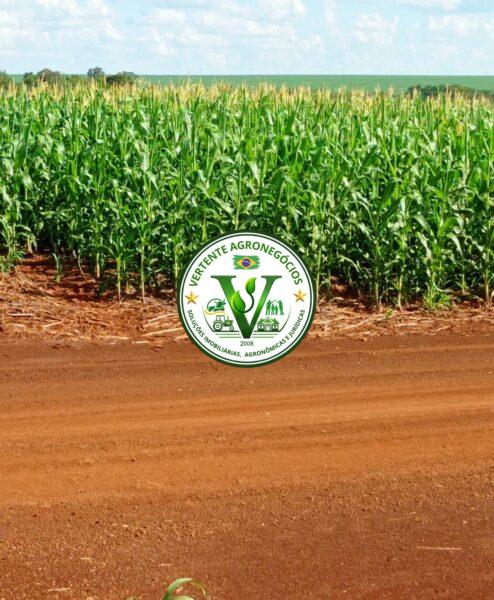 FAZENDA A VENDA