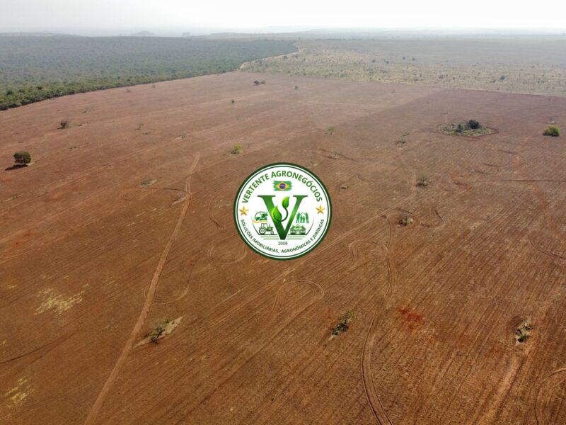 FAZENDA PECUÁRIA DE CORTE
