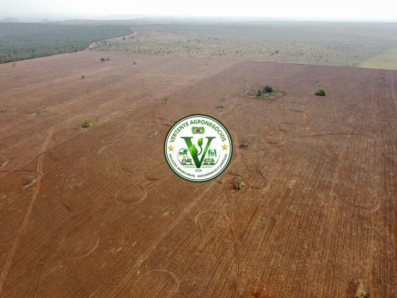 FAZENDA PECUÁRIA DE CORTE