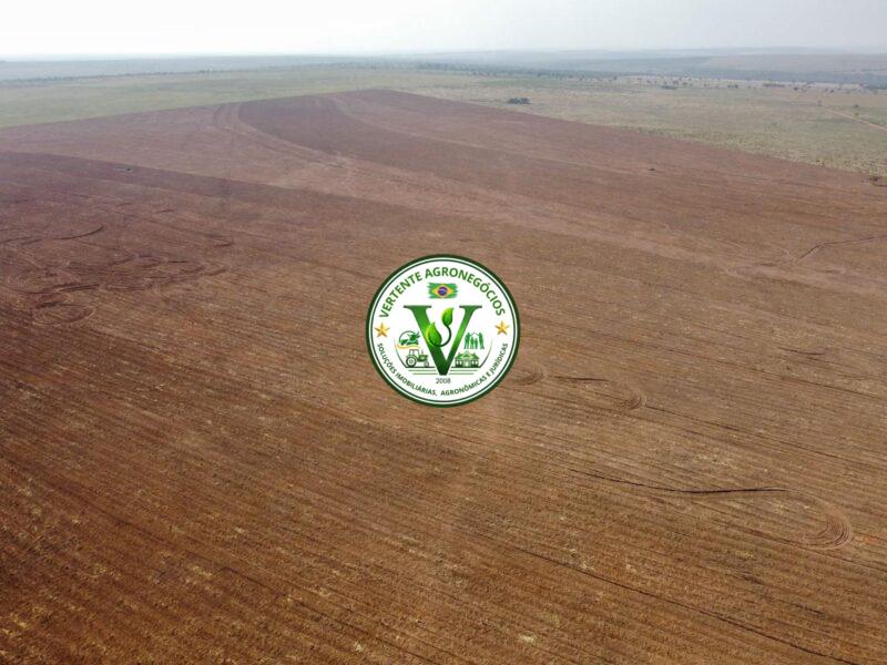 FAZENDA PECUÁRIA DE CORTE