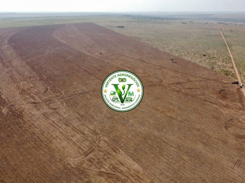 FAZENDA PECUÁRIA DE CORTE
