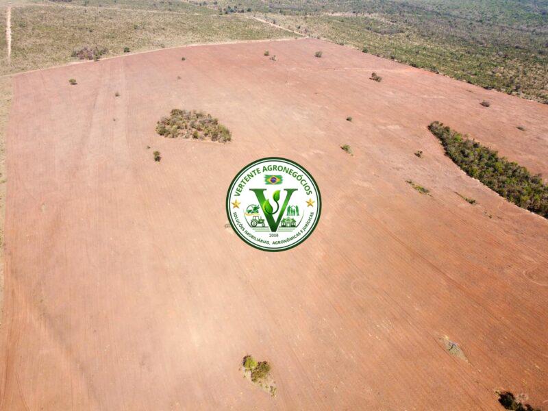 FAZENDA PECUÁRIA DE CORTE