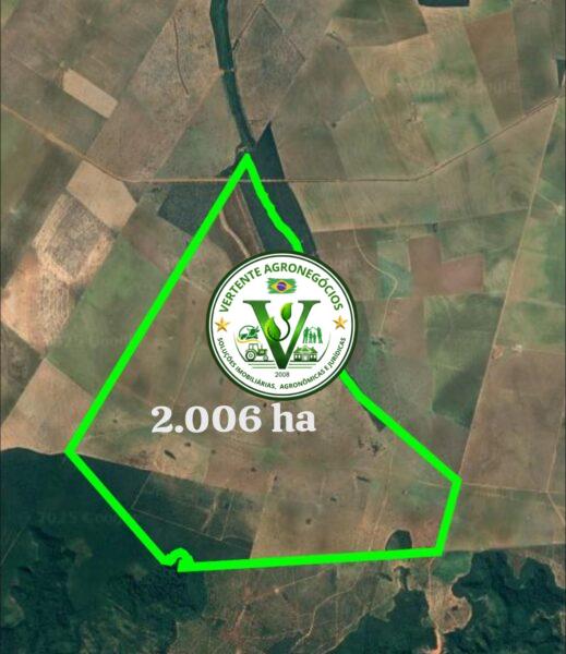 FAZENDA PECUÁRIA DE CORTE
