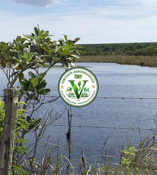 FAZENDA A VENDA CAMPO GRANDE MS #4