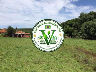 FAZENDA A VENDA CAMPO GRANDE MS #4