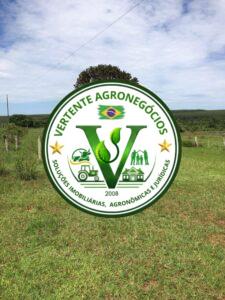 FAZENDA A VENDA CAMPO GRANDE MS #4