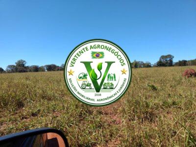 FAZENDA A VENDA CAMPO GRANDE MS #4