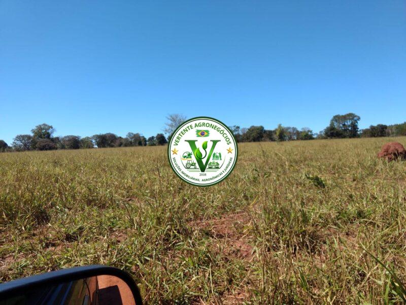 FAZENDA A VENDA CAMPO GRANDE MS #4