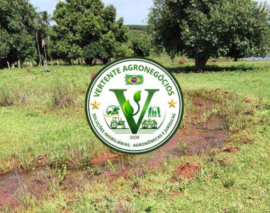 FAZENDA A VENDA CAMPO GRANDE MS #4