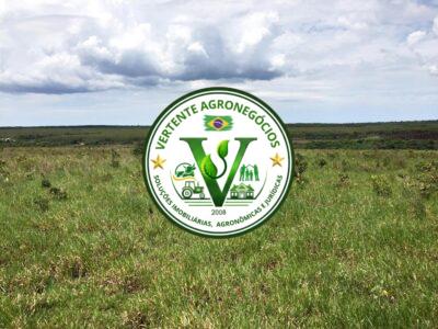 FAZENDA A VENDA CAMPO GRANDE MS #4
