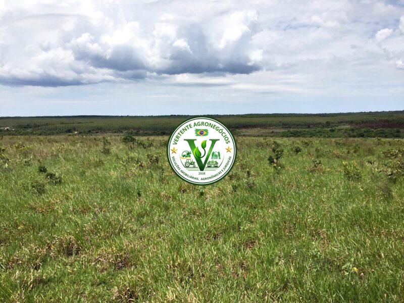 FAZENDA A VENDA CAMPO GRANDE MS #4