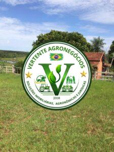 FAZENDA A VENDA CAMPO GRANDE MS #4