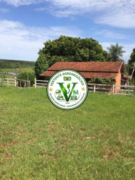 FAZENDA A VENDA CAMPO GRANDE MS #4