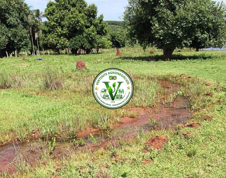 FAZENDA A VENDA CAMPO GRANDE MS #4