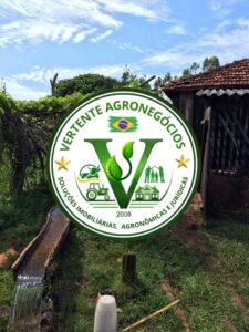 FAZENDA A VENDA CAMPO GRANDE MS #4