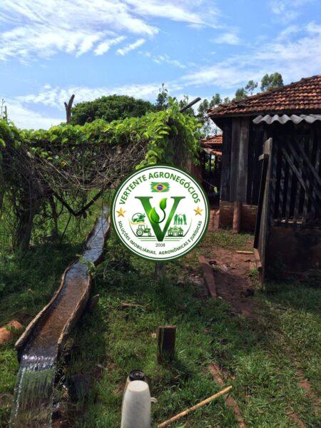 FAZENDA A VENDA CAMPO GRANDE MS #4