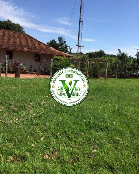 FAZENDA A VENDA CAMPO GRANDE MS #4