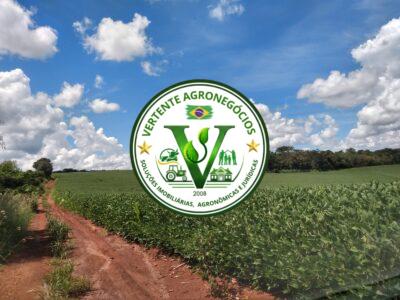 FAZENDA LAVOURA DE GRÃOS #1