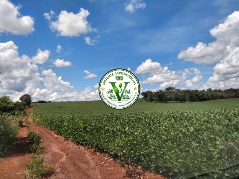 FAZENDA LAVOURA DE GRÃOS #1