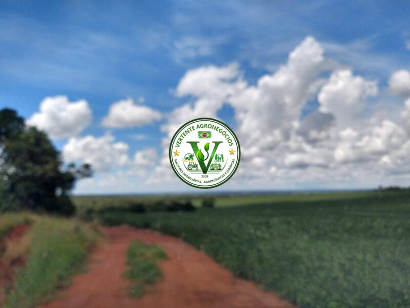 FAZENDA LAVOURA DE GRÃOS #1