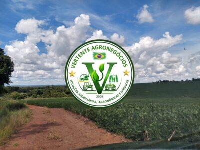 FAZENDA LAVOURA DE GRÃOS #1