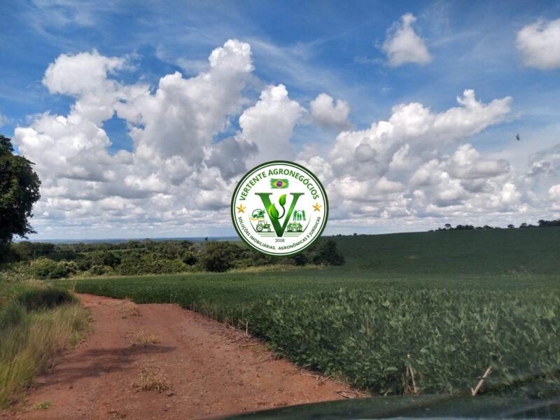 FAZENDA LAVOURA DE GRÃOS #1
