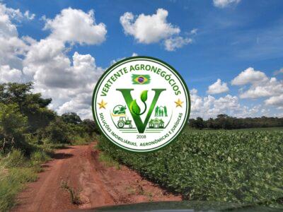 FAZENDA LAVOURA DE GRÃOS #1