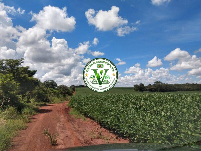 FAZENDA LAVOURA DE GRÃOS #1