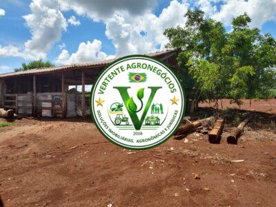 FAZENDA LAVOURA DE GRÃOS #1