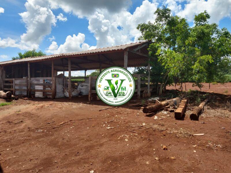FAZENDA LAVOURA DE GRÃOS #1