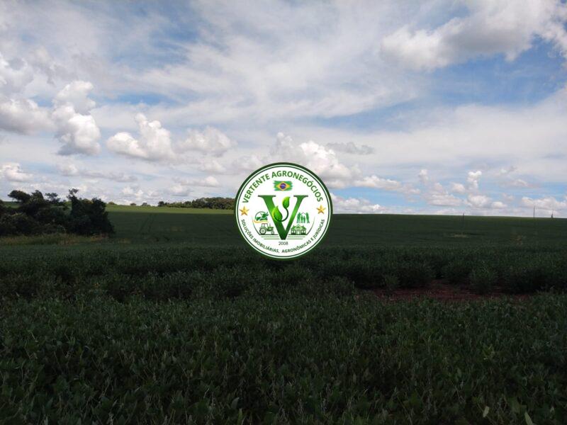 FAZENDA LAVOURA DE GRÃOS #1