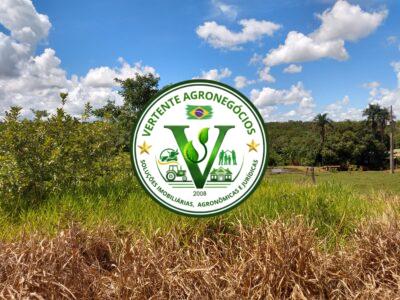 FAZENDA LAVOURA DE GRÃOS #1