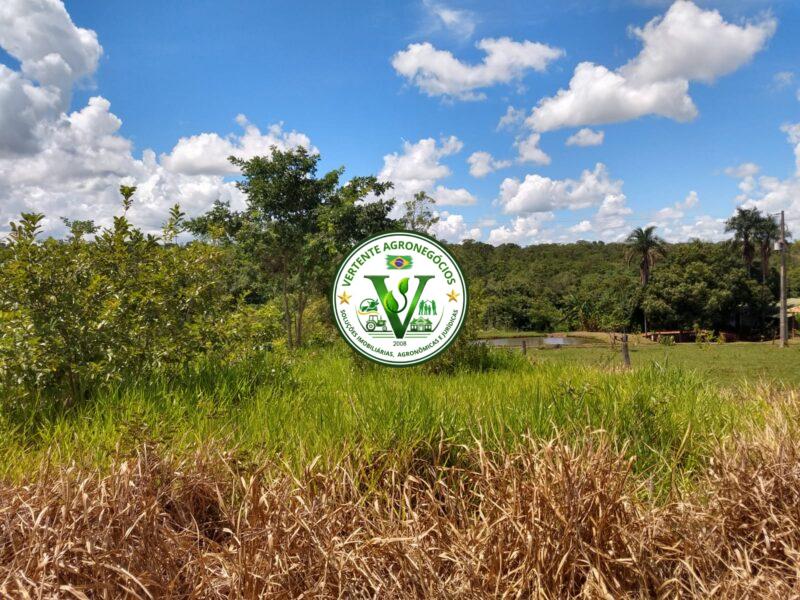 FAZENDA LAVOURA DE GRÃOS #1