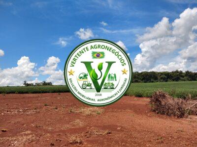 FAZENDA LAVOURA DE GRÃOS #1