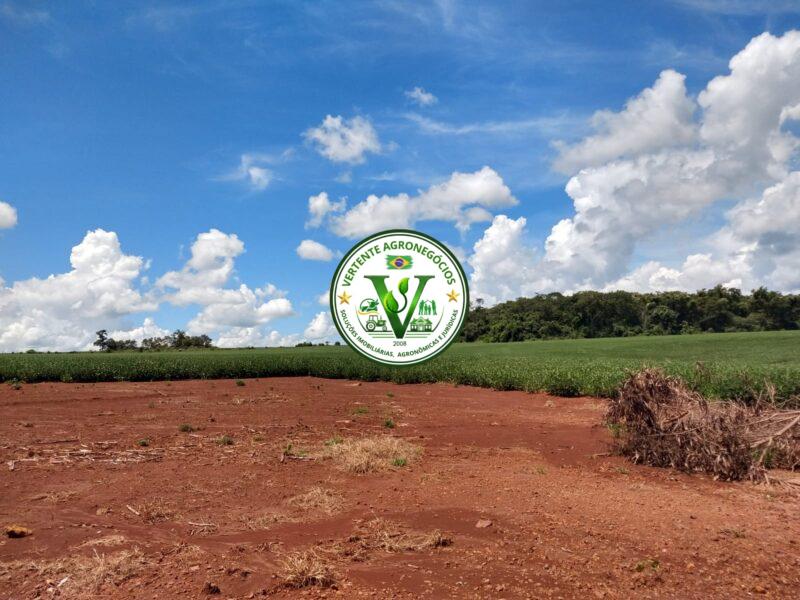 FAZENDA LAVOURA DE GRÃOS #1
