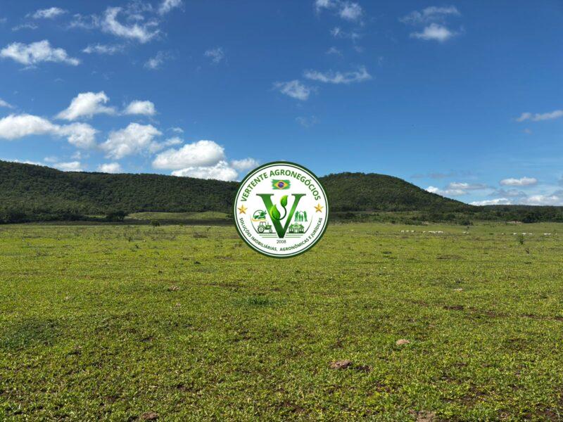 SITiO A VENDA