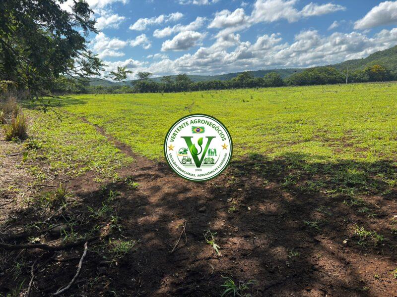 SITiO A VENDA