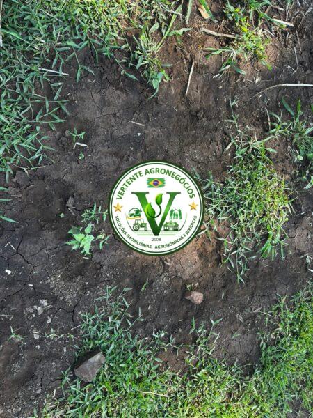 SITiO A VENDA